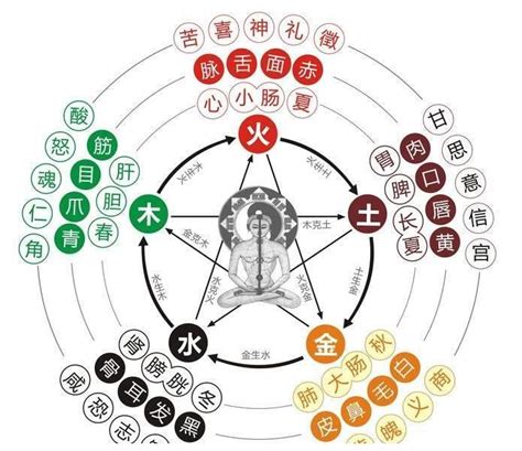 五行相泄|八字用神生帮克泄耗取用详解,日干五行取用宜忌分析